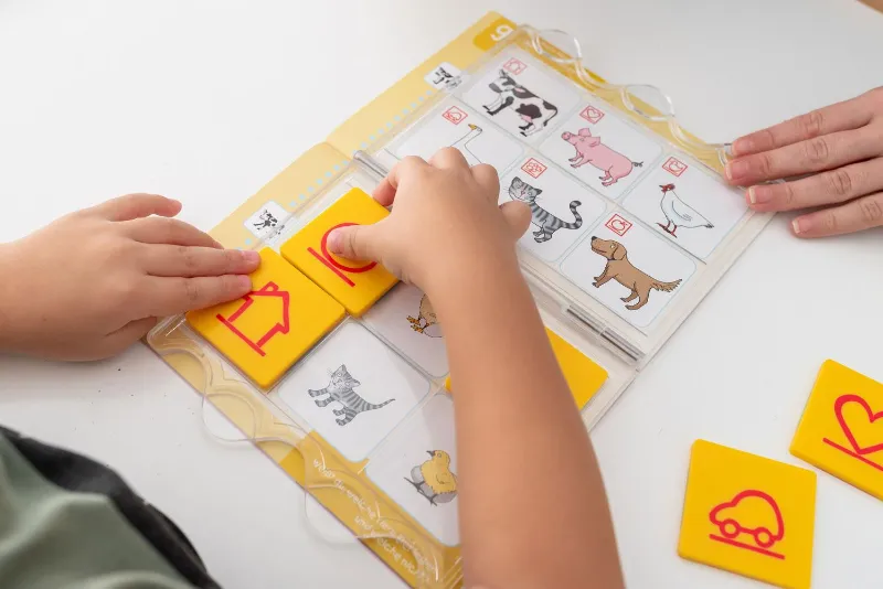 Animal Matching Activity