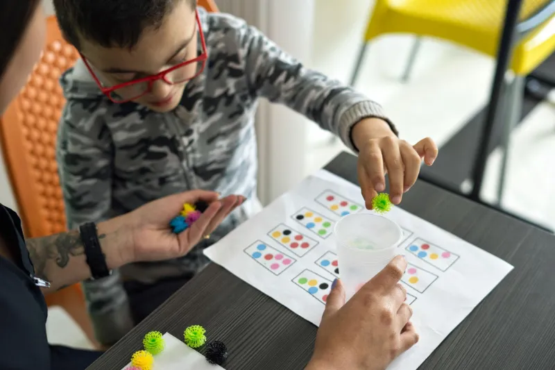 Color Sorting Activity