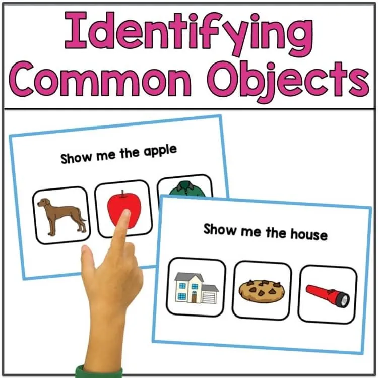 Object Labeling Activity